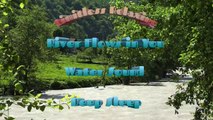 Relaxing River Sound,River Sound for Sleeping & Meditation,Stress Relief, 30 Min Long,Nature Video