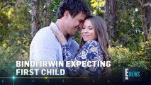 Bindi Irwin Pregnant With Her 1st Child