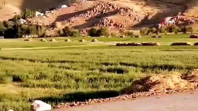 Yüksekova'da bir köy korona virüs nedeniyle karantinaya alındı