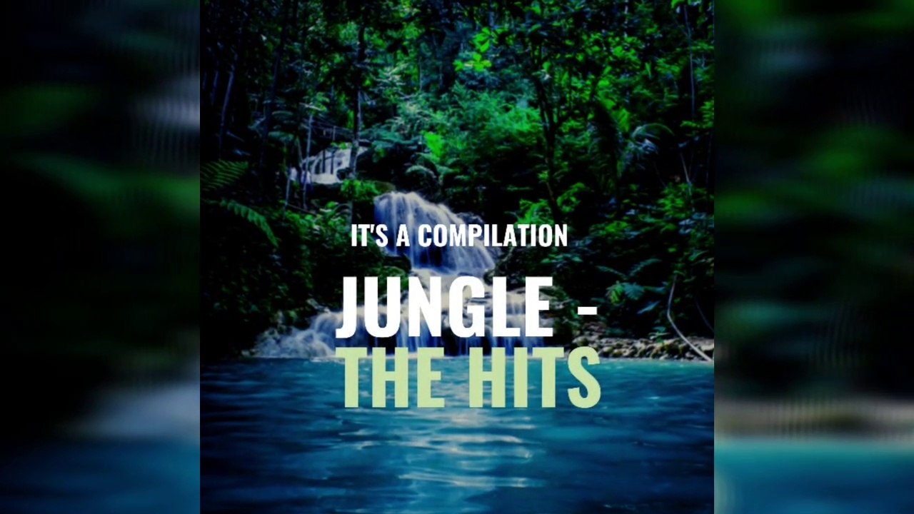 JUNGLE ROARS
