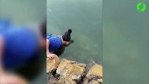 Ce qu'il sort de l'eau à mains nues est incroyable