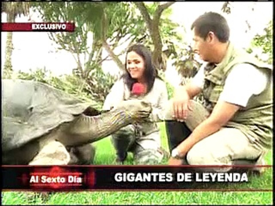 Gigantes de leyenda: asombrosos reyes del mundo animal