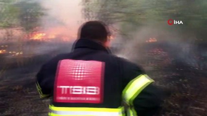 Amasya’da yangın: 5 dönüm alan zarar gördü