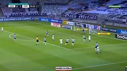 Gol Araos