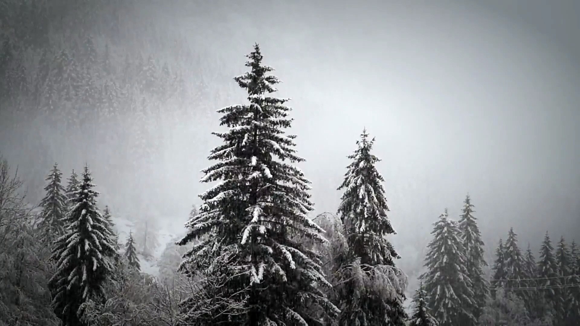 Meditation Music, Relaxing Music, Yoga Music, Deep Sleep Music, Study Music, Relax Music, Sleep Musi