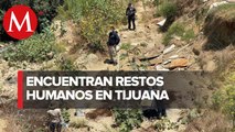 Reportan hallazgo de 14 cuerpos en cuatro fosas clandestinas en Tijuana