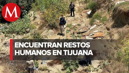Reportan hallazgo de 14 cuerpos en cuatro fosas clandestinas en Tijuana