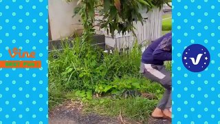 Funny Videos 2020 ● People doing stupid things