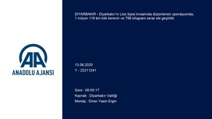 Diyarbakır'da 1 milyon 119 bin kök kenevir ve 756 kilogram esrar ele geçirildi