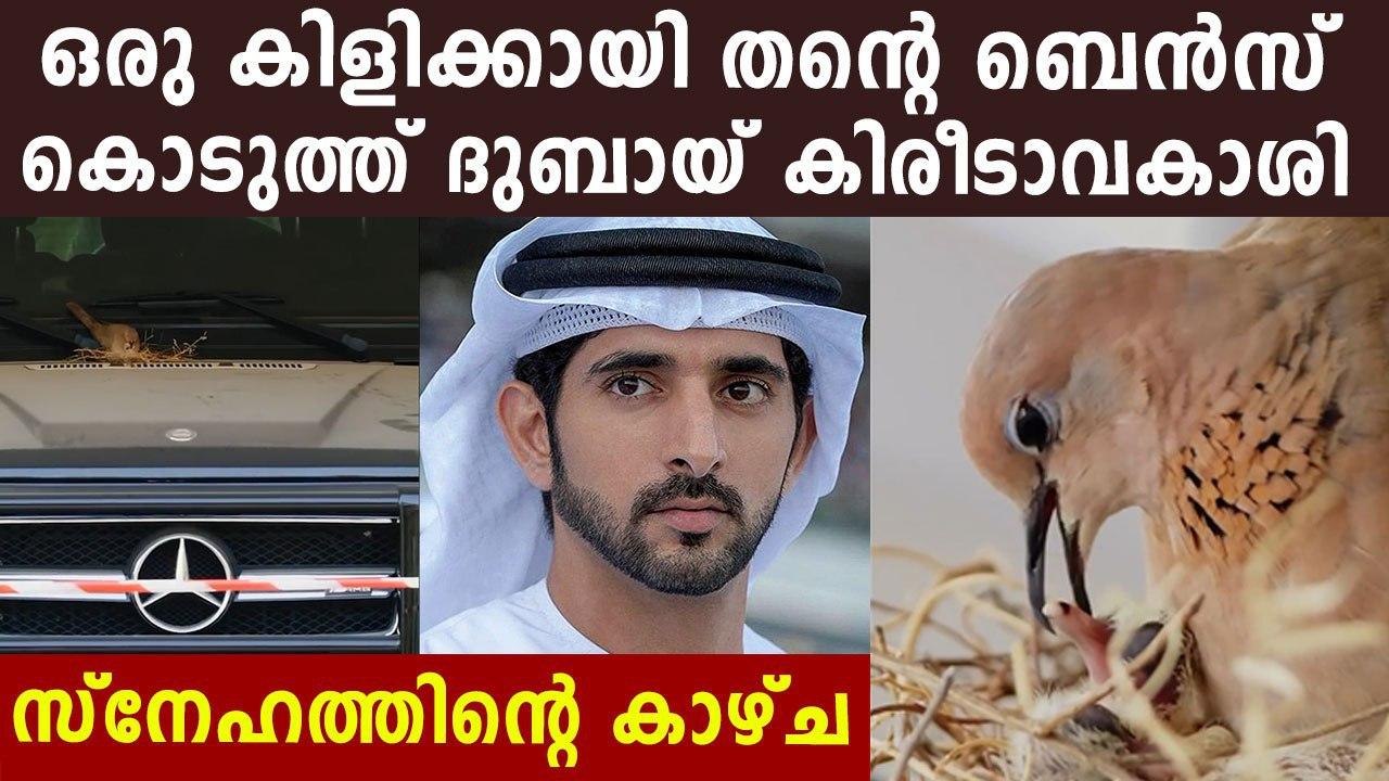 Sheikh Hamdan captures newly hatched chicks on his Mercedes SUV | Oneindia Malayalam