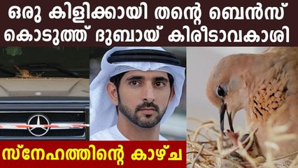Sheikh Hamdan captures newly hatched chicks on his Mercedes SUV | Oneindia Malayalam