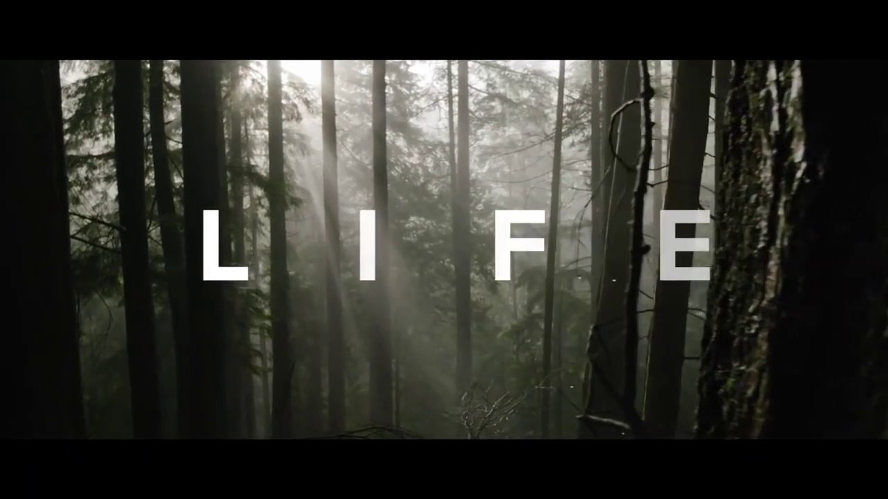 DON'T+WASTE+YOUR+LIFE+-+Powerful+Motivational+Speech+Video+(Ft.+Coach+Pain)