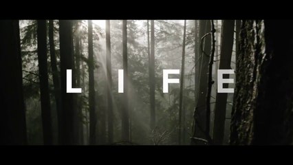 DON'T+WASTE+YOUR+LIFE+-+Powerful+Motivational+Speech+Video+(Ft.+Coach+Pain)