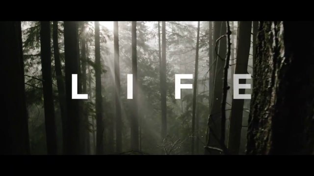 DON'T+WASTE+YOUR+LIFE+-+Powerful+Motivational+Speech+Video+(Ft.+Coach+Pain)