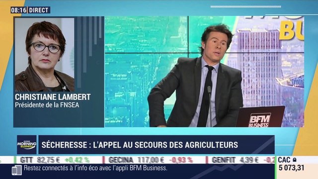 Christiane Lambert (FNSEA): L'appel au secours des agriculteurs face à la sécheresse - 13/08
