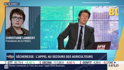 Christiane Lambert (FNSEA): L'appel au secours des agriculteurs face à la sécheresse - 13/08