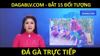Bắt 26 đối tượng đá gà ăn tiền tại khu đất trống