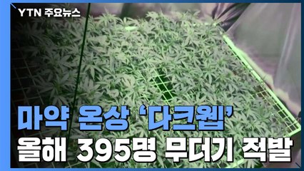 '다크웹' 이용 마약사범 395명 검거...전문수사팀 꾸려 수사 강화 / YTN