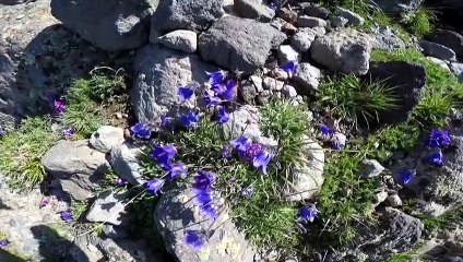'Türkiye'nin çatısı' kutup ve çöl iklimini birlikte yaşıyor - AĞRI