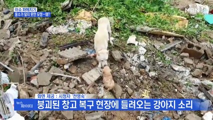 MBN 뉴스파이터-폭우 현장에…어미 개의 모성·잠긴 잠수교에 나타난 사람들