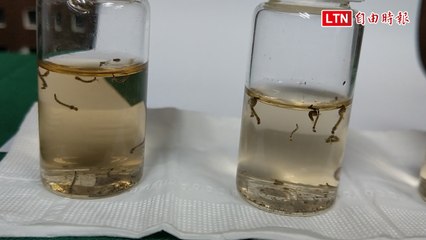 全台首創AI登革熱防疫平台 節省至少50％監測時間