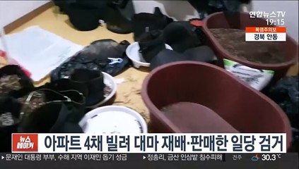 아파트 4채 빌려 대마 재배·판매한 일당 검거