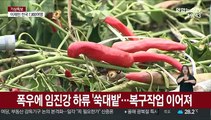 임진강 하류 복구작업 한창…비소식에 근심