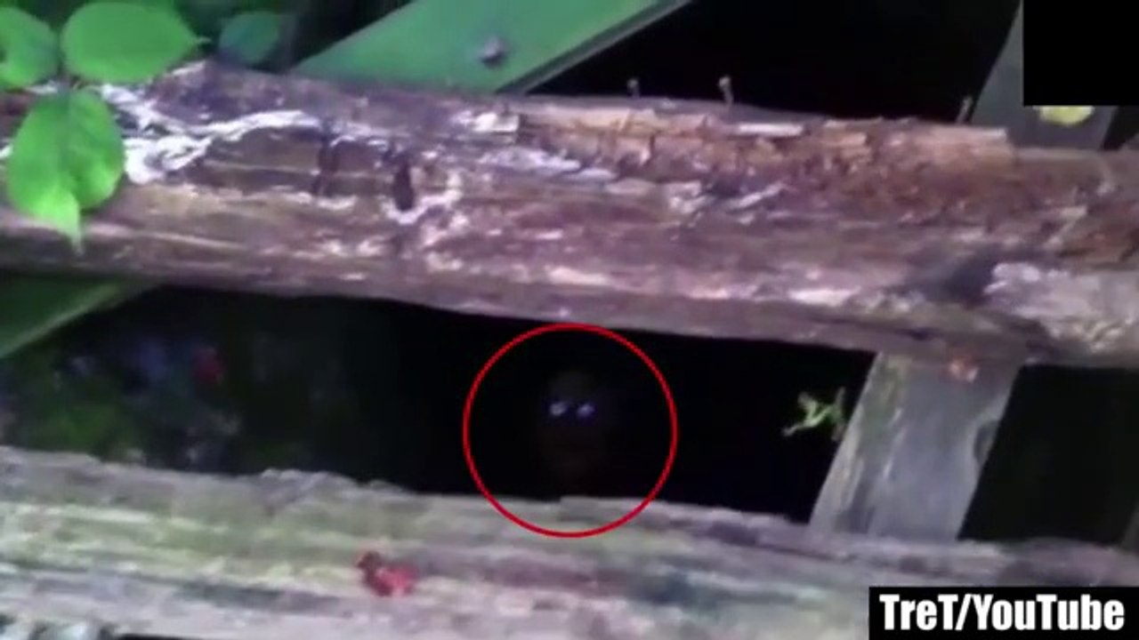 14 Scary Videos You Can't Watch Without Getting Scared