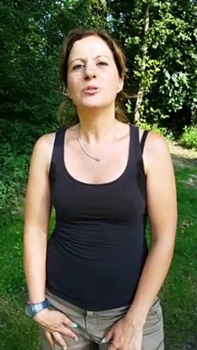 Wie reagieren Eltern am besten, wenn sich ein Hund ihrem Kind nähert