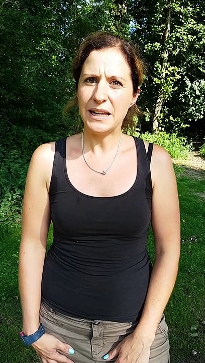 Worauf sollten werdende Eltern achten, die einen Hund haben