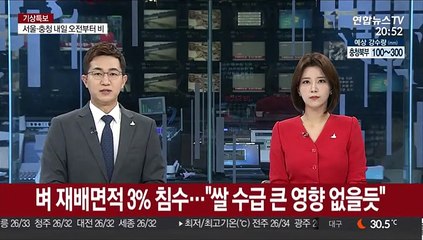 벼 재배면적 3% 침수…"쌀 수급 큰 영향 없을듯"