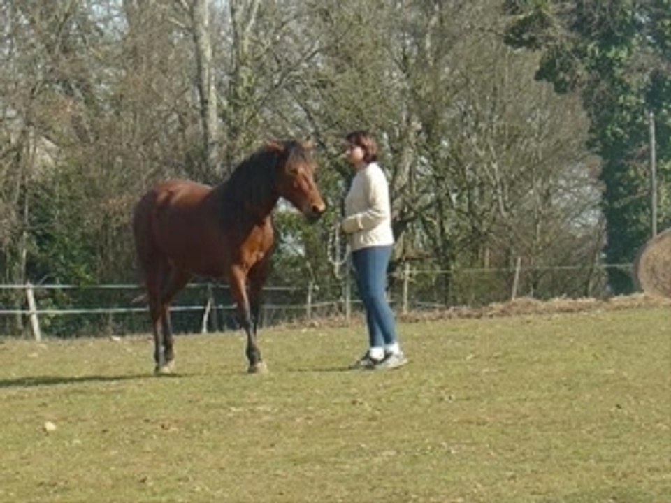 Premiere approche avec Ritana