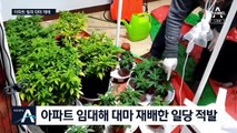 아파트서 대마 재배…추적 어려운 어둠의 인터넷서 유통