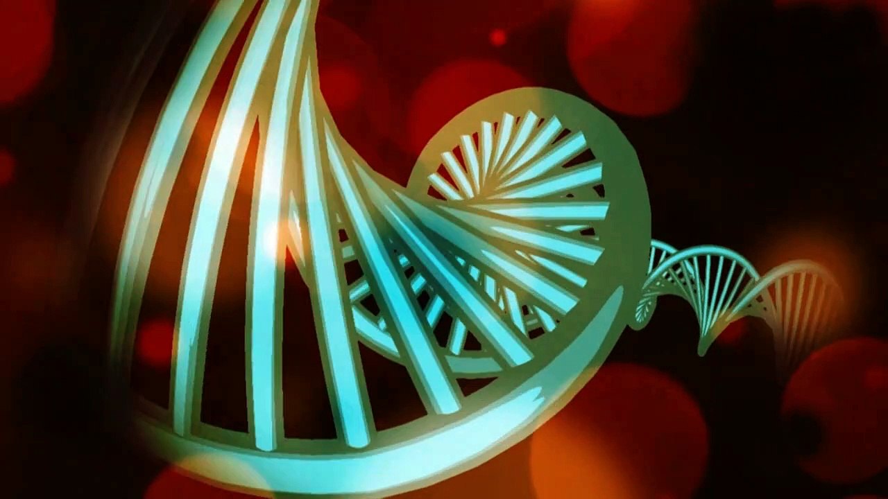 Videografik: So wird eine Corona-Infektion festgestellt