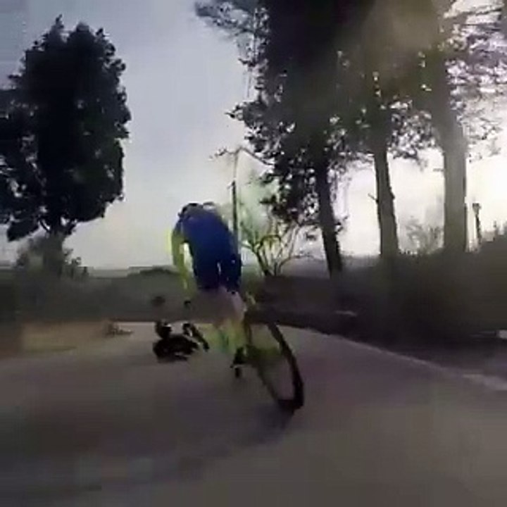 Cette luge circule à toute vitesse sur une route et passe sous un véhicule