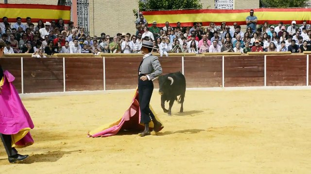 ALFONSO ALONSO - NOVILLADA CAMAS 2019