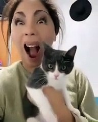 The Weirdly Afraid Cat from TikTok Filter