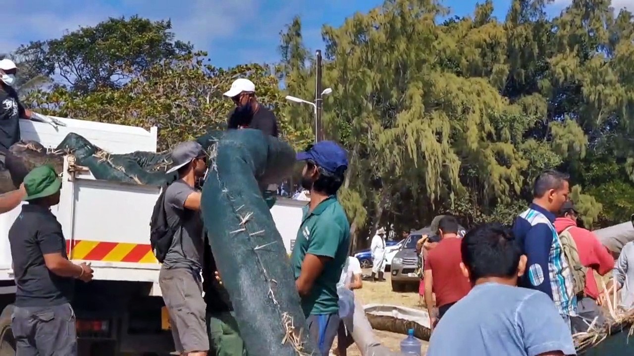 Haareschneiden gegen die Umweltkatastrophe in Mauritius