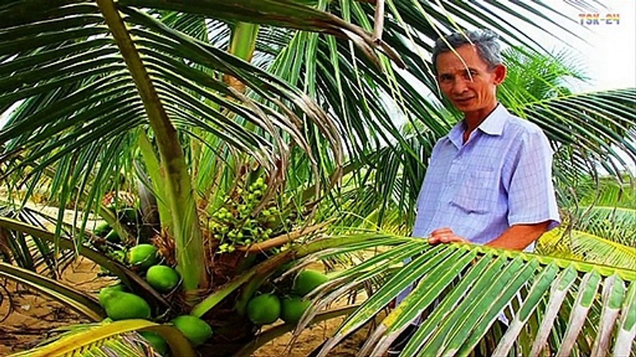 WOW! Amazing New Agriculture Technology - Coconut tree