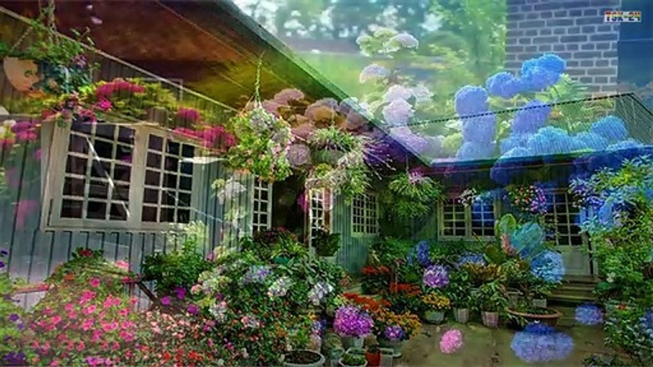 80 Charming Homes With Enviable Entryways Covered in Flowers