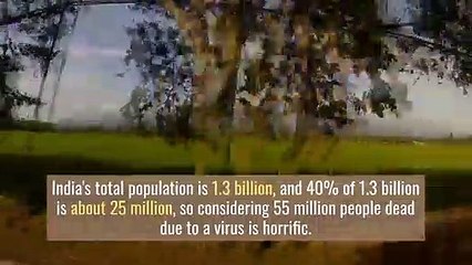 Why Lockdown Is Not Reducing COVID-19 Cases