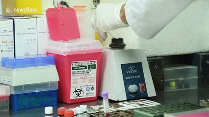 Argentina and Mexico will co-produce Oxford coronavirus vaccine