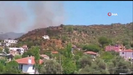 Milas'ta zeytinlik arazideki yangın söndürüldü