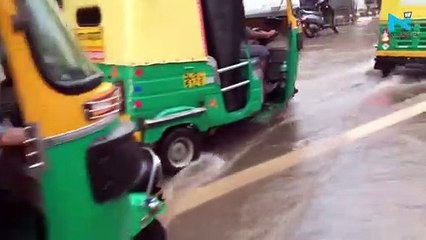People slip into dirty water as they try to cross waterlogged road on bullock cart in Delhi