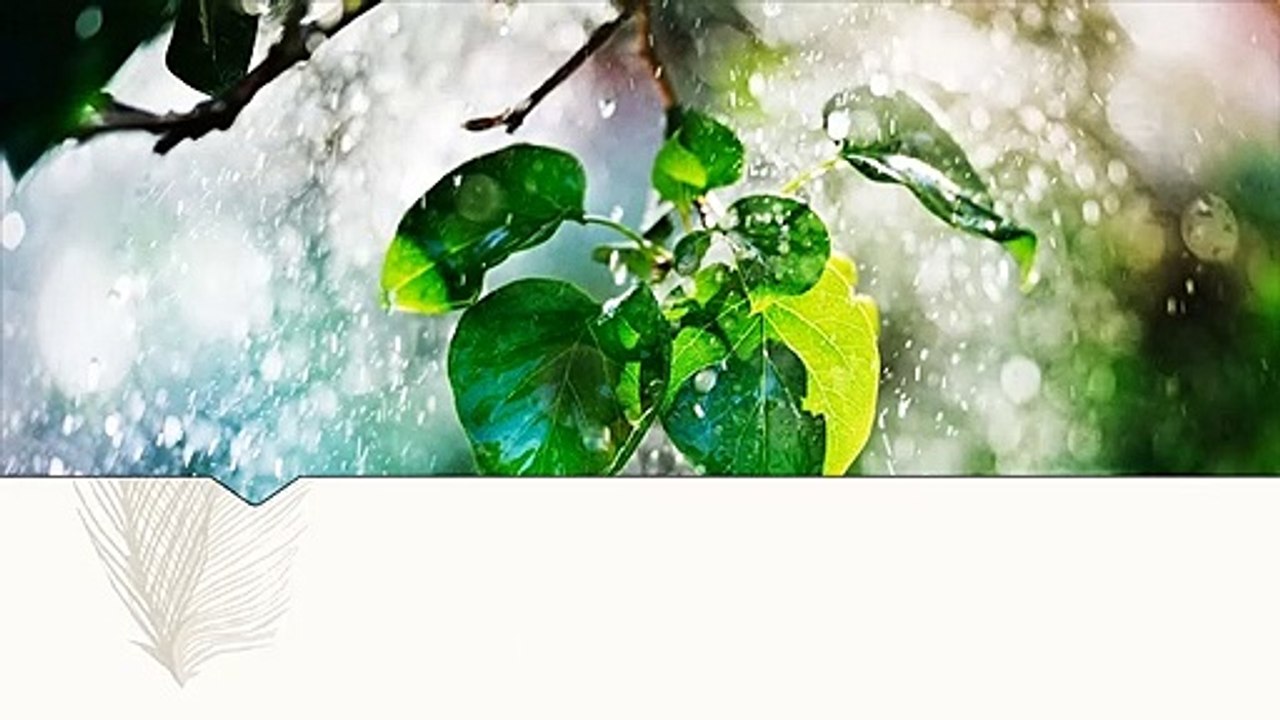 Plants panic when it rains.