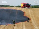 Aşırı Sıcak Hava Dalgası ve Kuraklık Fransız Çiftçileri Vurdu