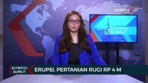 Dampak Erupsi Sinabung, Sektor Pertanian Rugi Rp 4 M