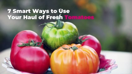 7 Smart Ways to Use Your Haul of Fresh Tomatoes