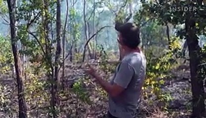 Australian bushfires burned 46 million acres in less than a year. This Aboriginal tradition could help the country fight back next time.