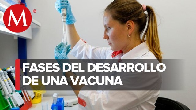 ¿Cuáles son las fases de una vacuna?
